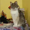Отзыв от Клара Артамонова